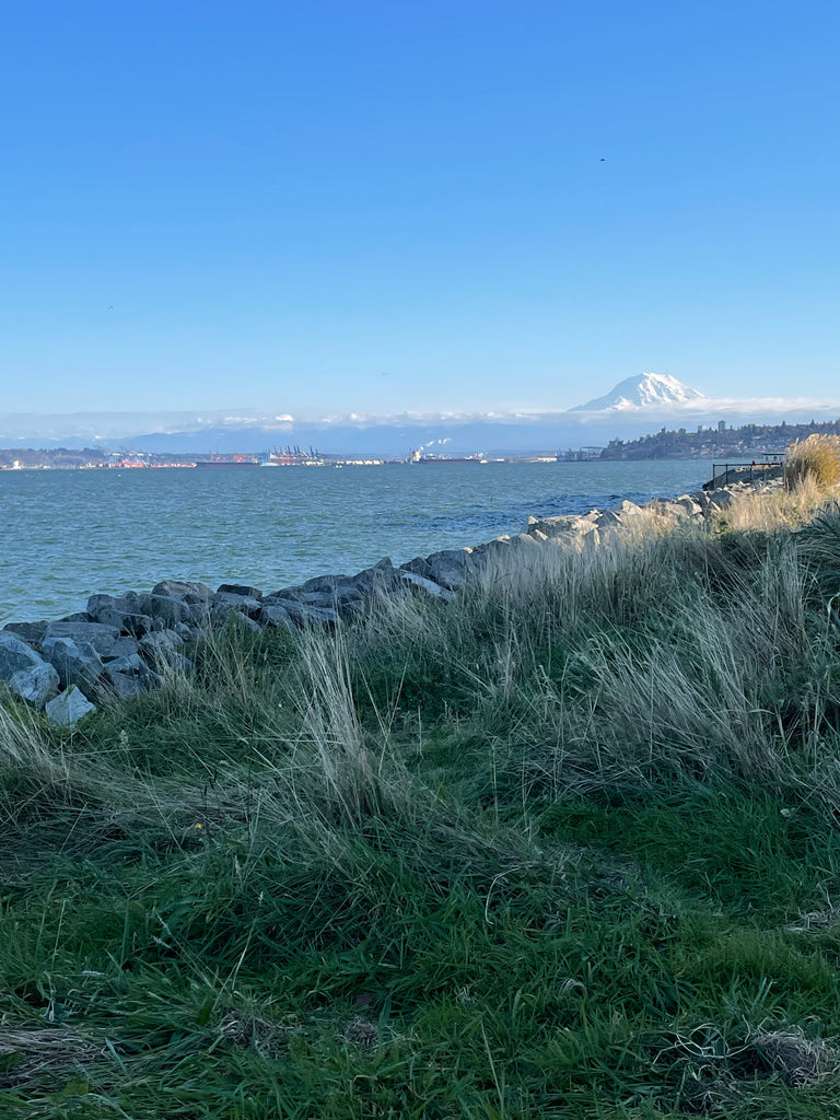 Lauren Tilden | Lincoln Park, Seattle, Washington