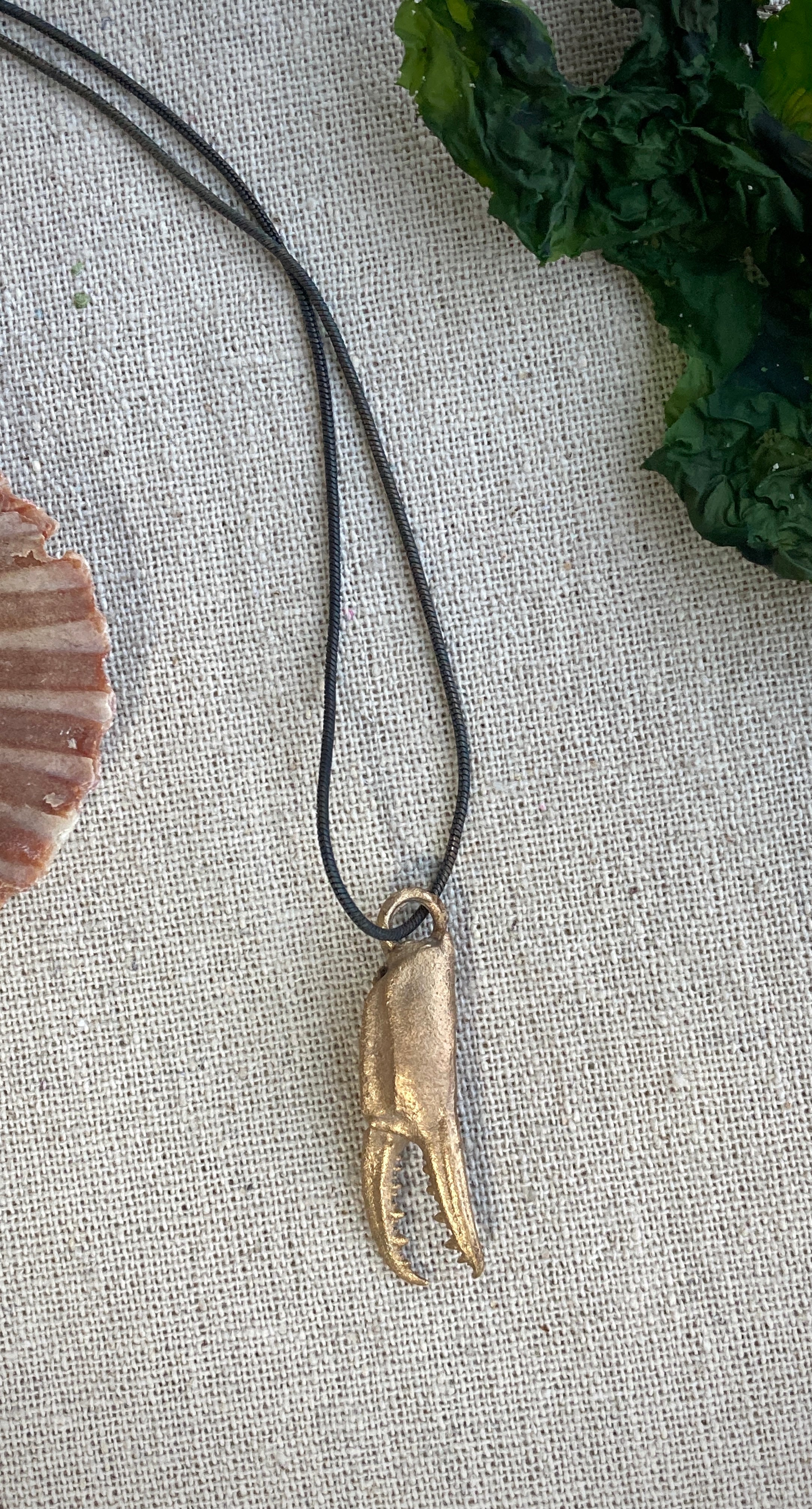 Large Crab Claw Necklace REAL Crab Claw Cast Brass Pendant Necklace Brass Crab  Claw Necklace Pendant Necklace - Etsy